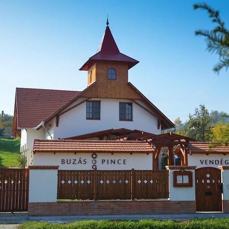 Buzás Pince Vendégház Ecséd Exterior foto